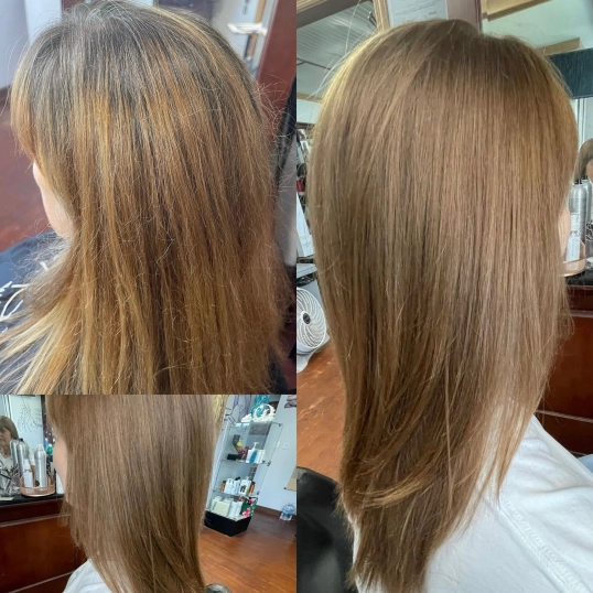 Professional Hair Color With Argan Oil Ash Blonde A