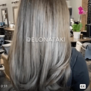 Light Cold Ash Blonde 8.1b