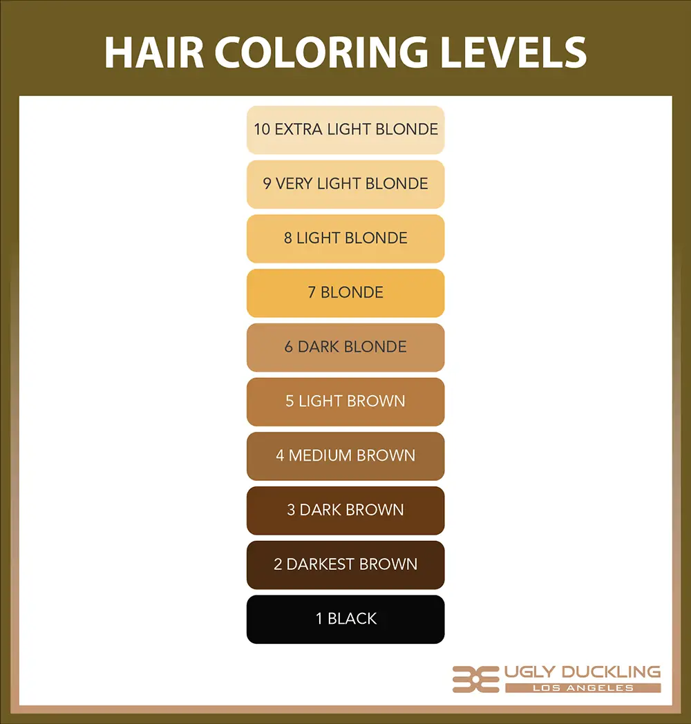 The Ugly Duckling Hair Color Chart Explained - Ugly Duckling