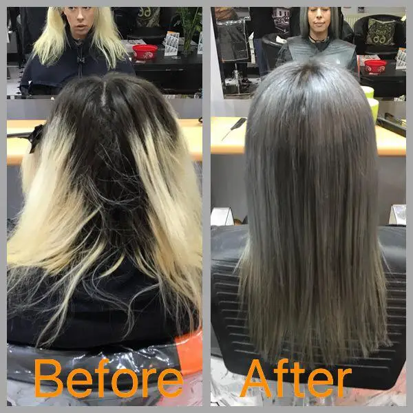 Silver Grey  Professional Hair Color from Ugly Duckling