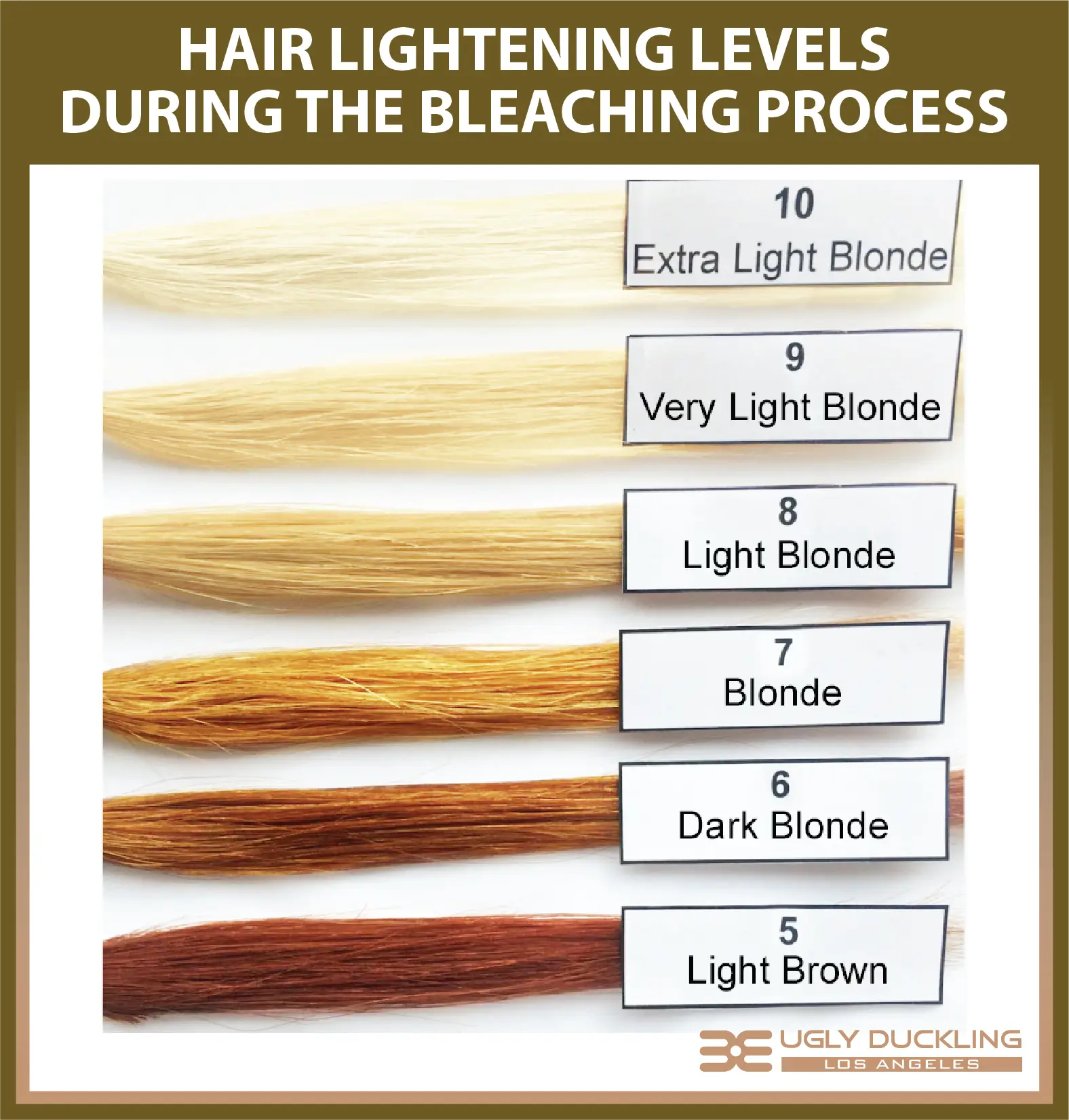 how to dye brown hair blonde - how to bleach hair 10 bleach levels of the hair 101 from dark to ...