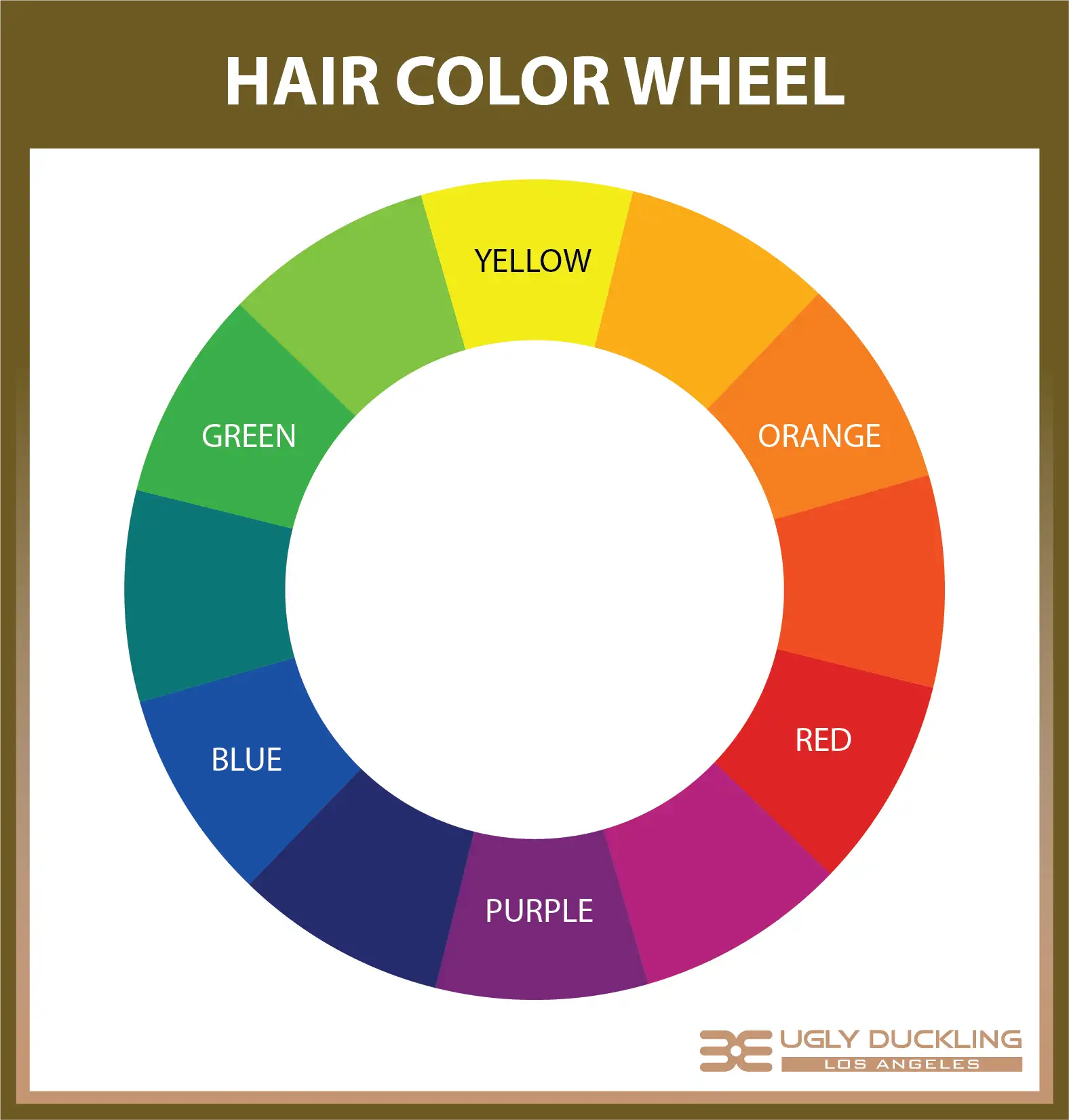 The Hair Color Wheel Explained - The Secrets of Color Neutralization & Tone  Correction - Ugly Duckling